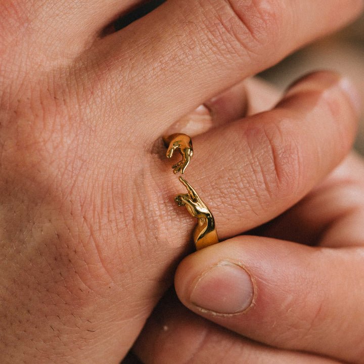 Creation of Adam Ring on model