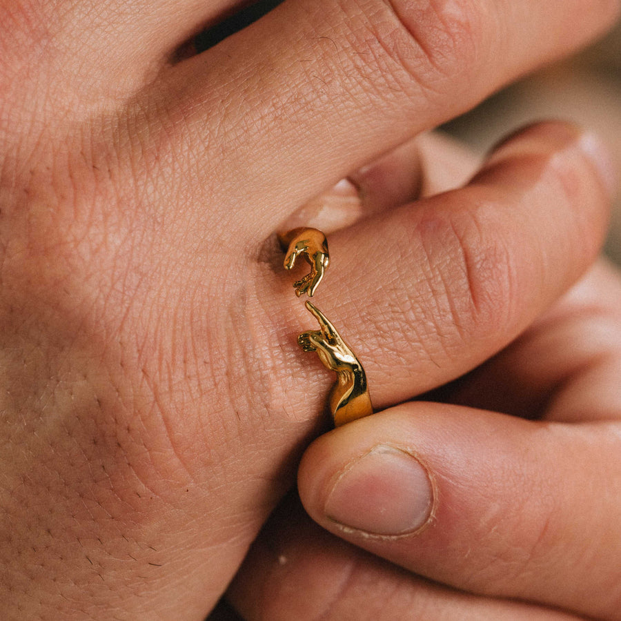 Creation of Adam Ring on model